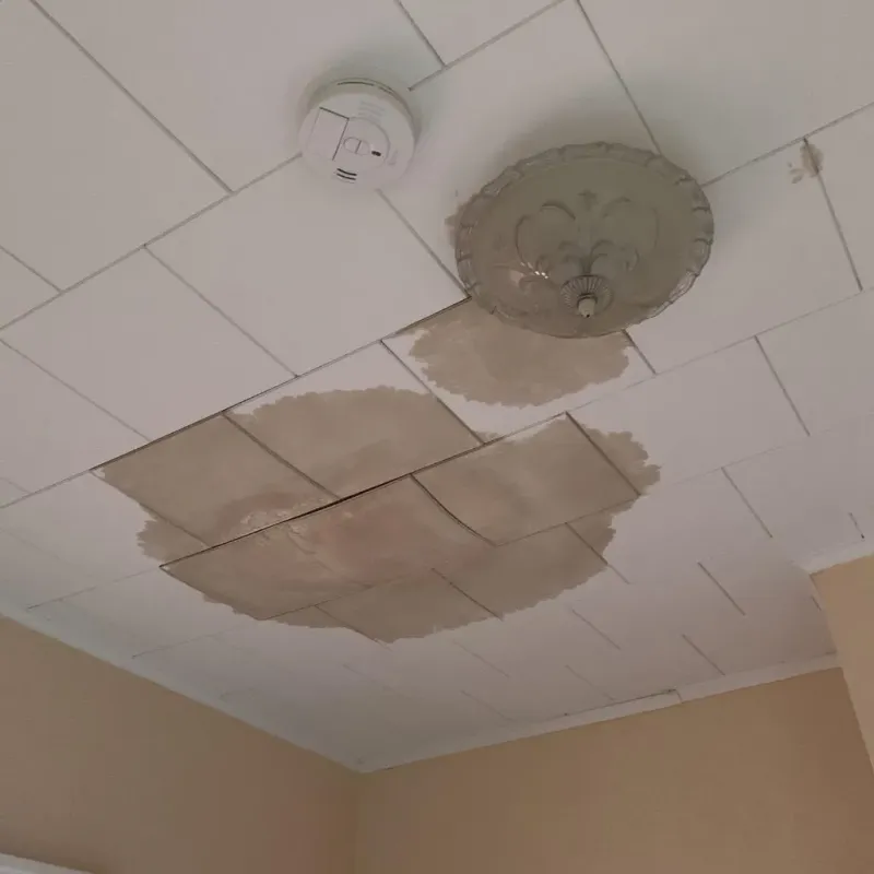 Ceiling Water Damage Repair in Jena, LA