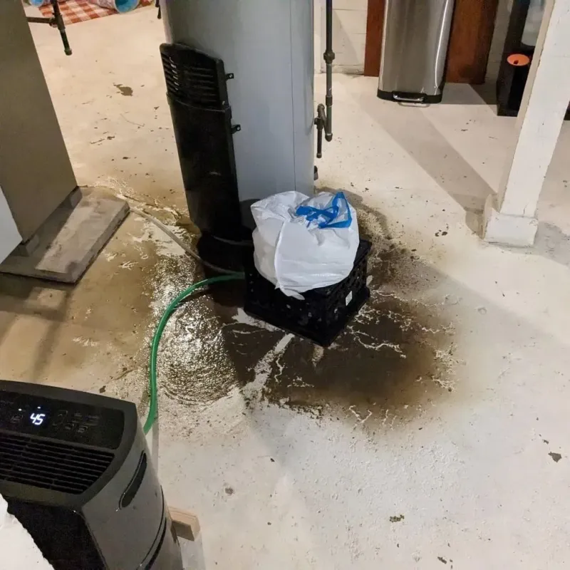 Sewage Backup Cleanup Service in Jena, LA